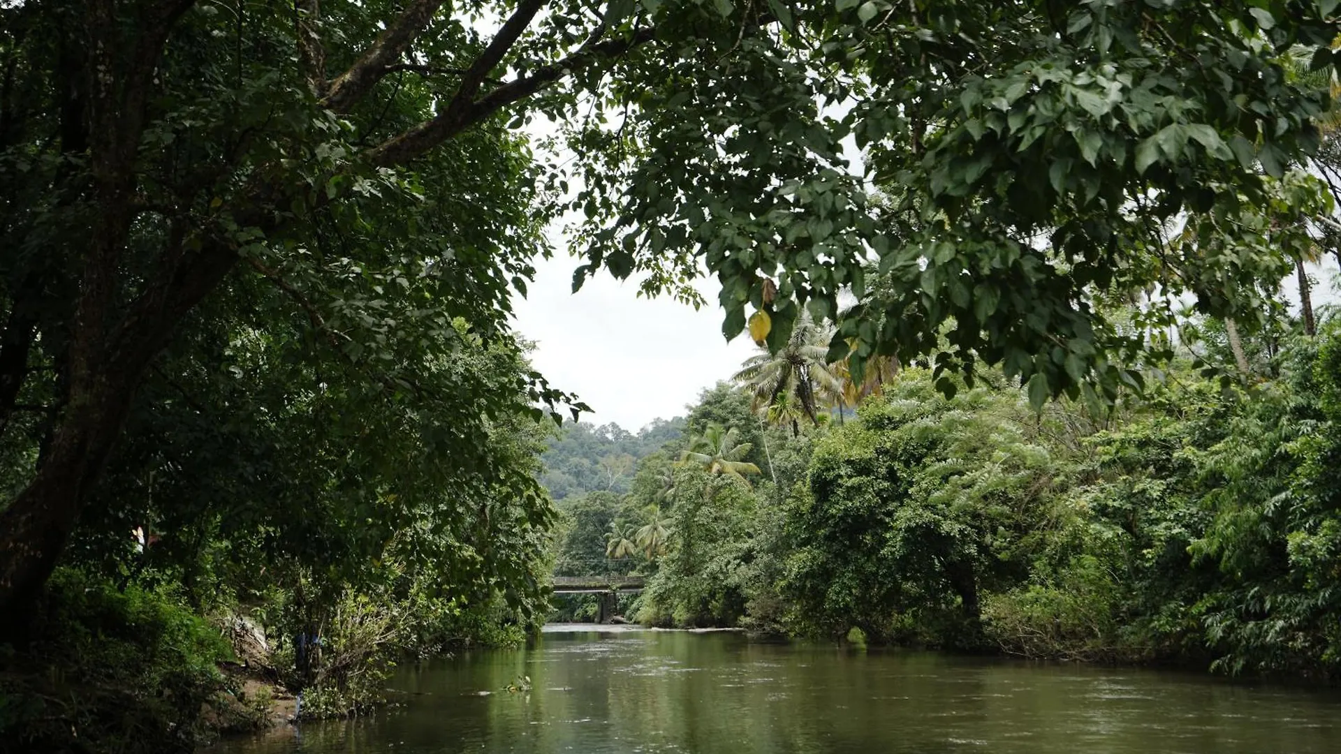 Sreeja Myst Hotel Athirappilly 0*,