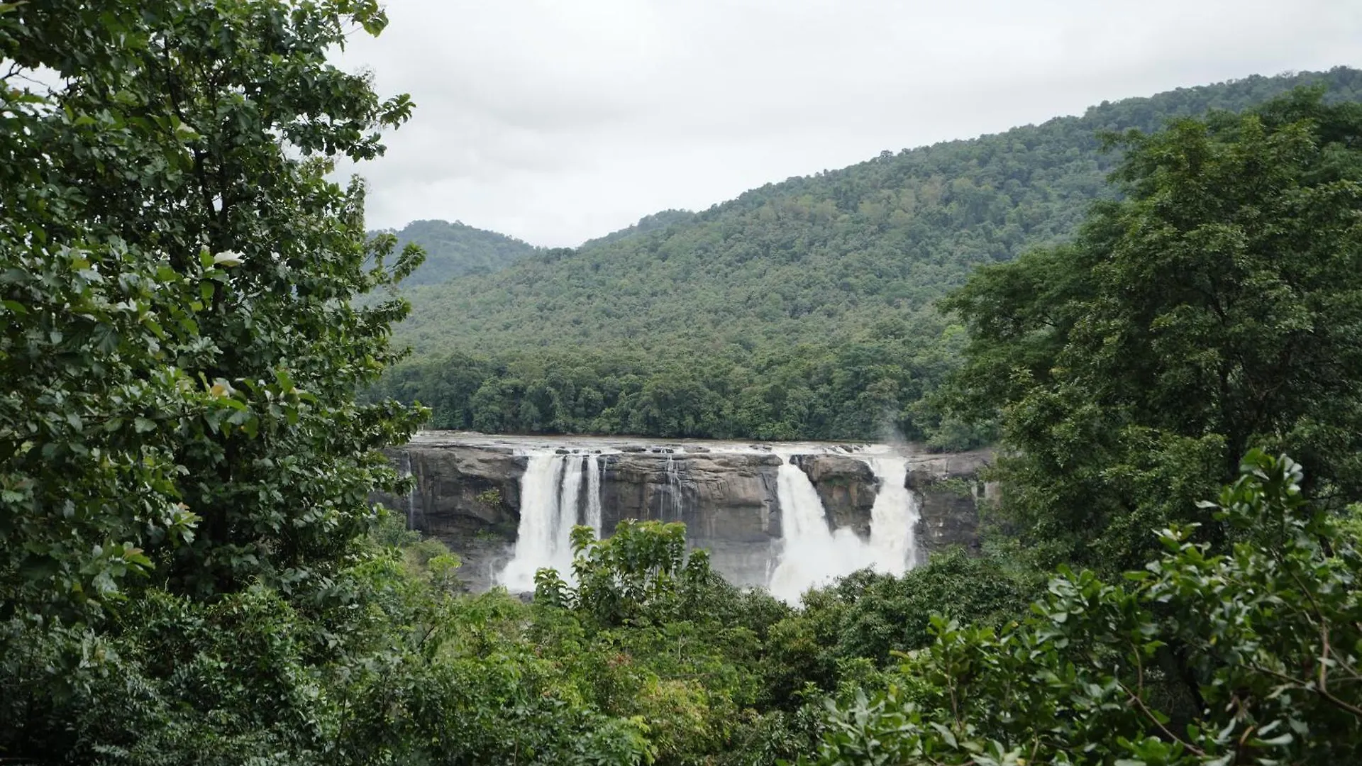Sreeja Myst Hotel Athirappilly